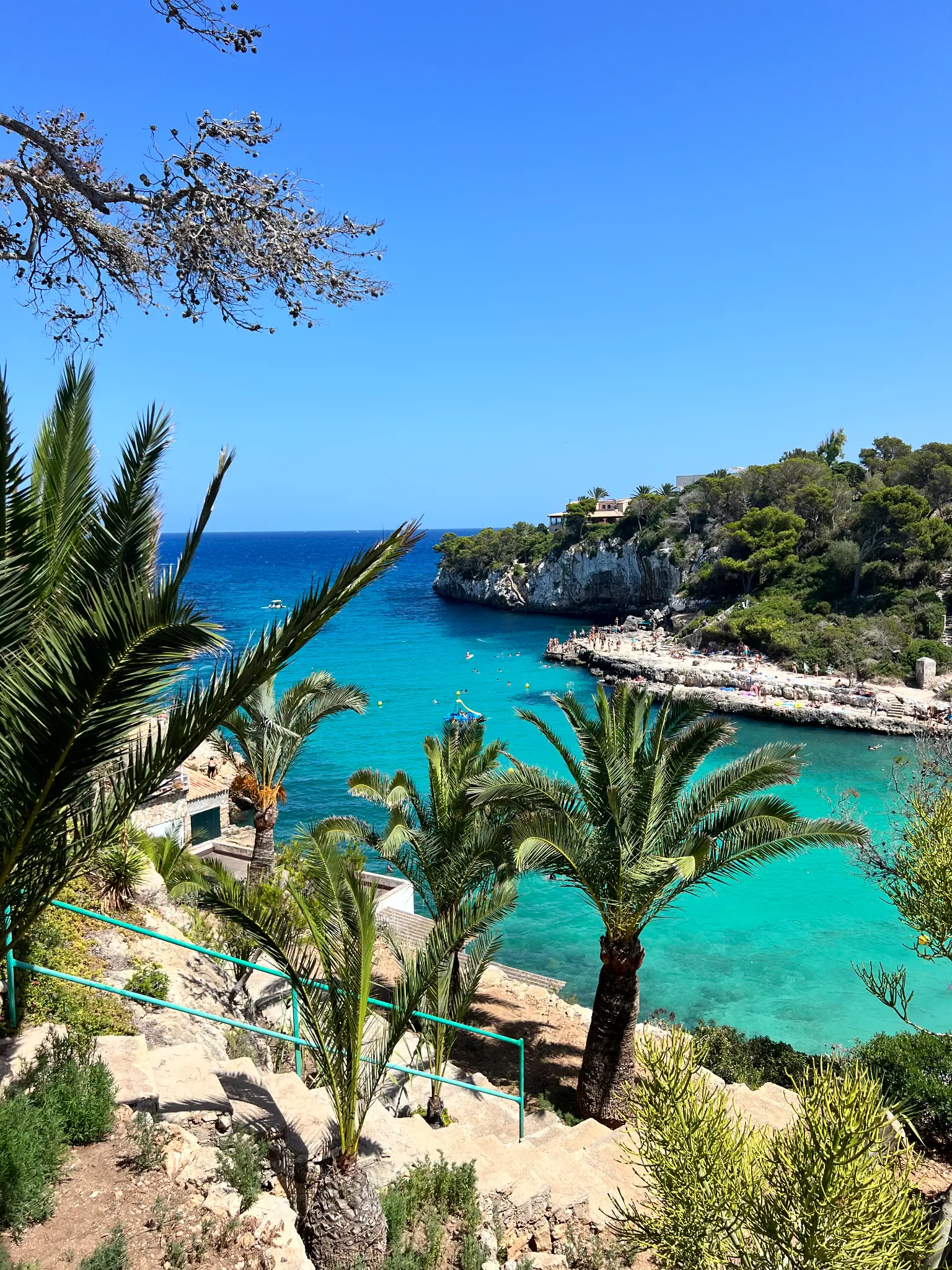 Cala Llombards – türkisblaues Wasser mit Palmen
