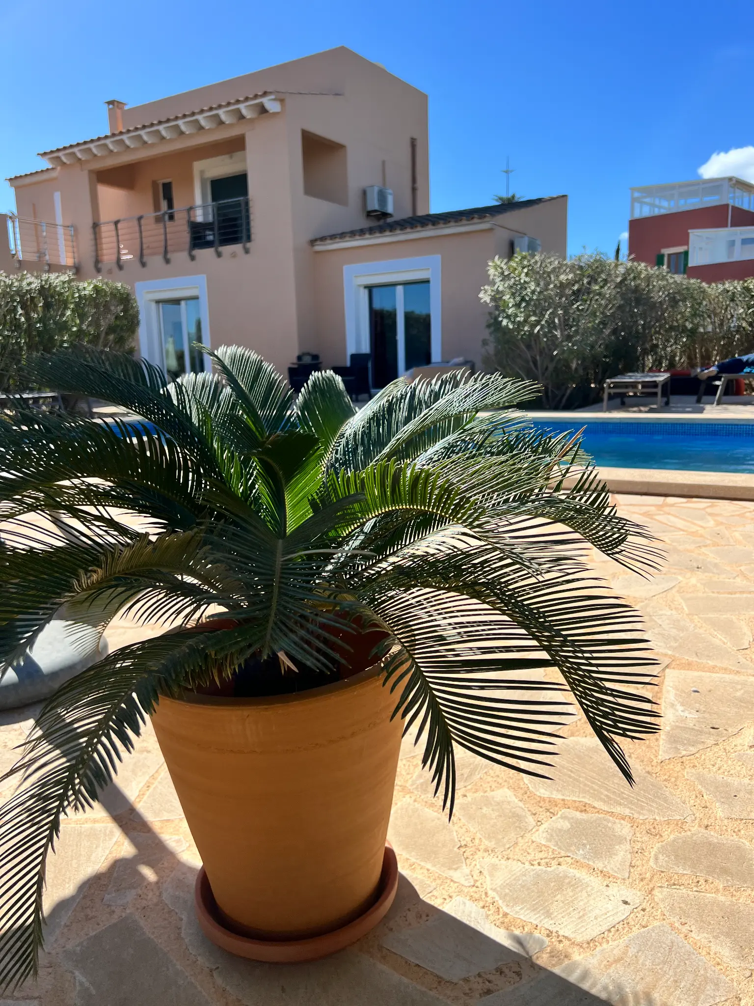 Villa mit Pool und Palme