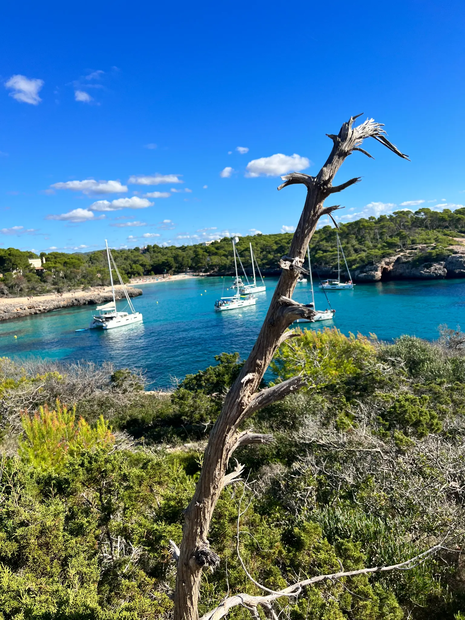Türkisblaue Bucht mit Segelbooten